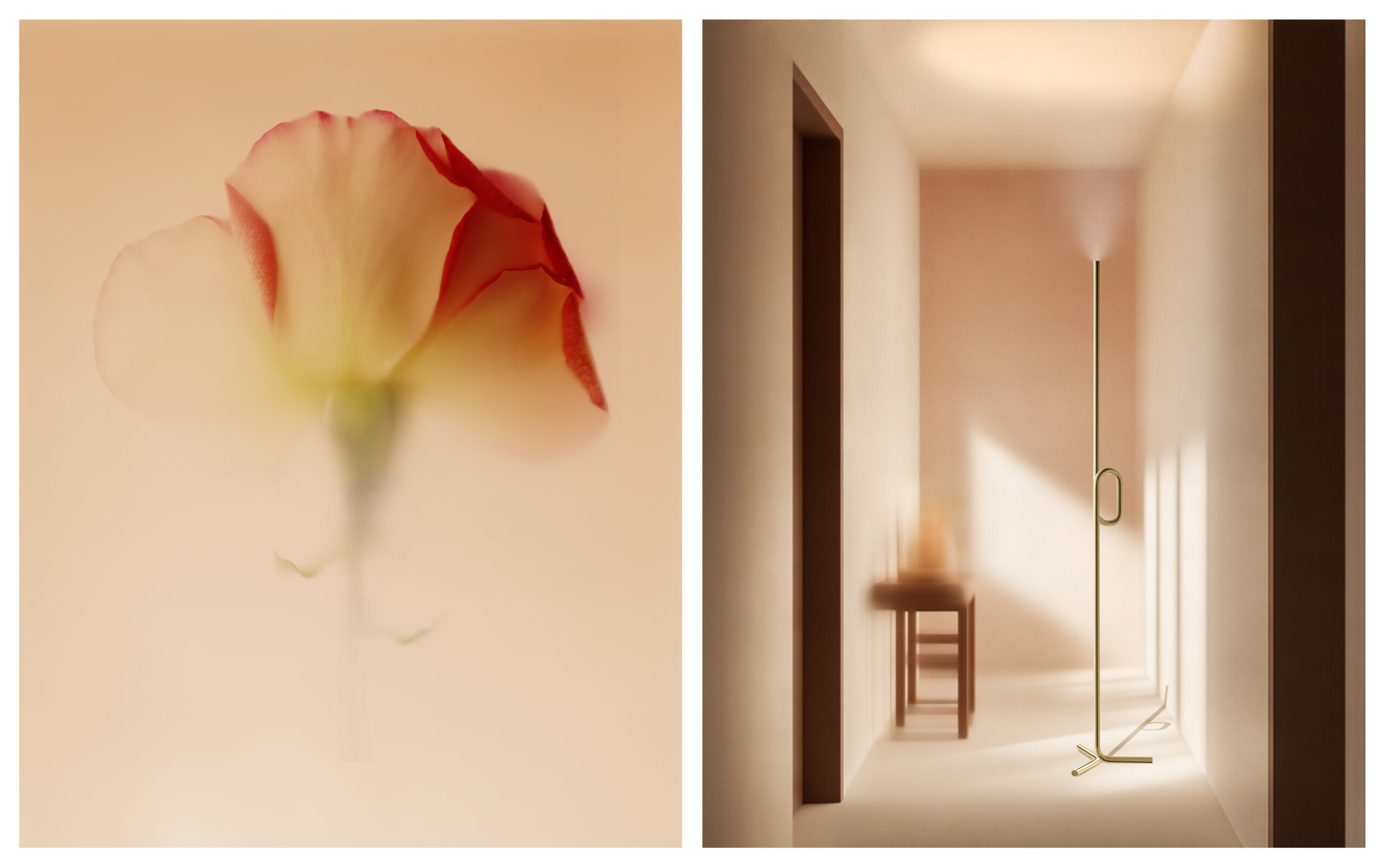 Photographier l’imagination